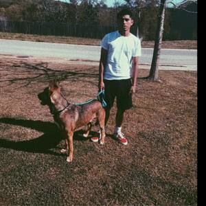 Meet your Posher, Jan carlos